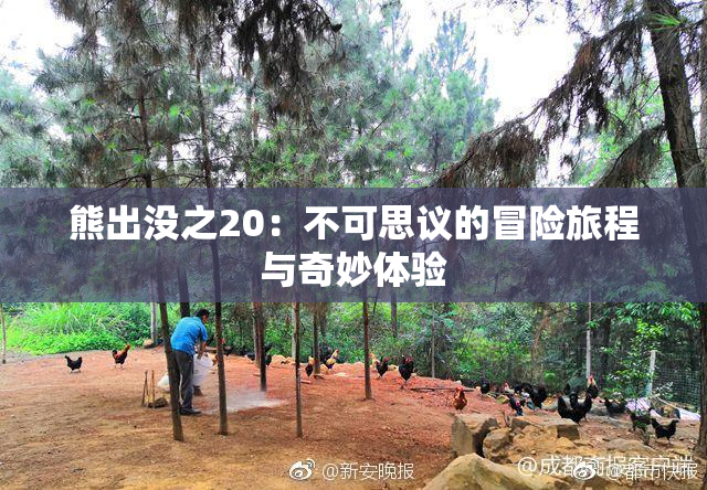 熊出没之20：不可思议的冒险旅程与奇妙体验