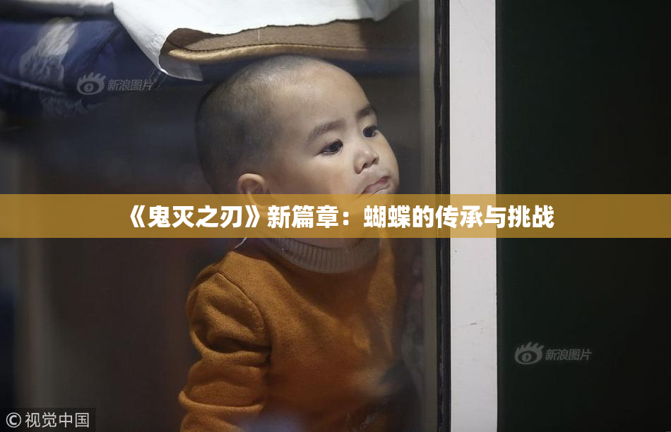 《鬼灭之刃》新篇章：蝴蝶的传承与挑战