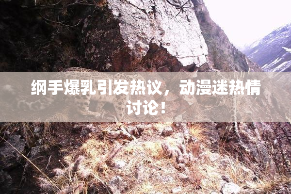 纲手爆乳引发热议，动漫迷热情讨论！