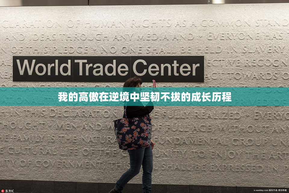 我的高傲在逆境中坚韧不拔的成长历程