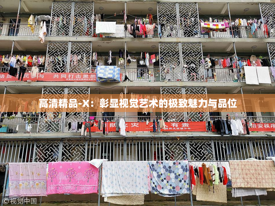 高清精品-X：彰显视觉艺术的极致魅力与品位