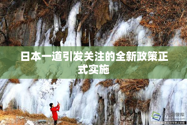 日本一道引发关注的全新政策正式实施