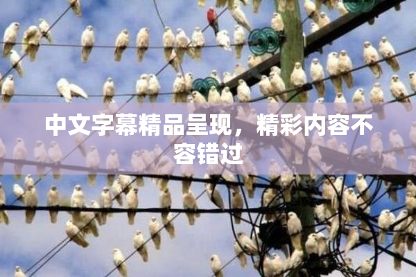 中文字幕精品呈现，精彩内容不容错过