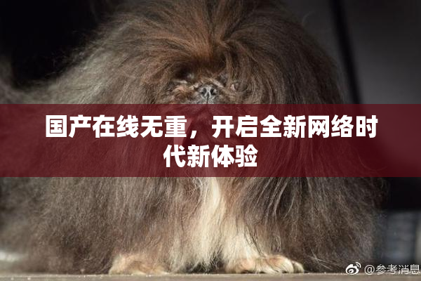 国产在线无重，开启全新网络时代新体验