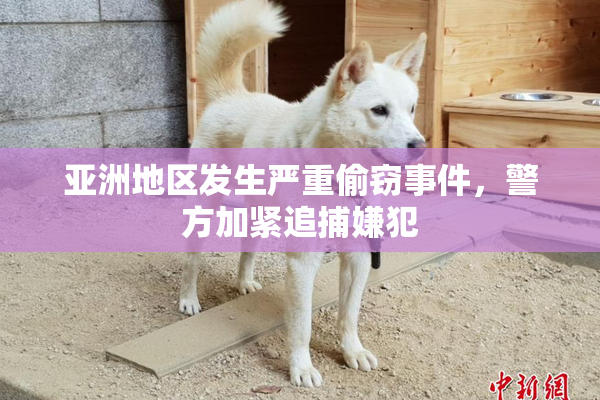 亚洲地区发生严重偷窃事件，警方加紧追捕嫌犯