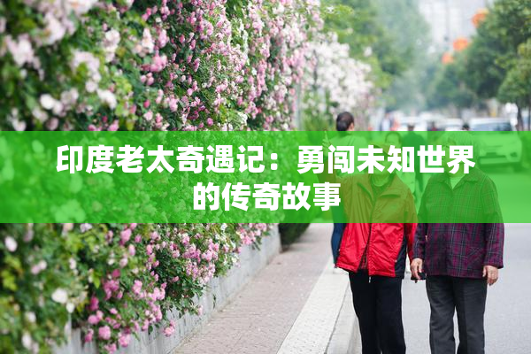 印度老太奇遇记：勇闯未知世界的传奇故事