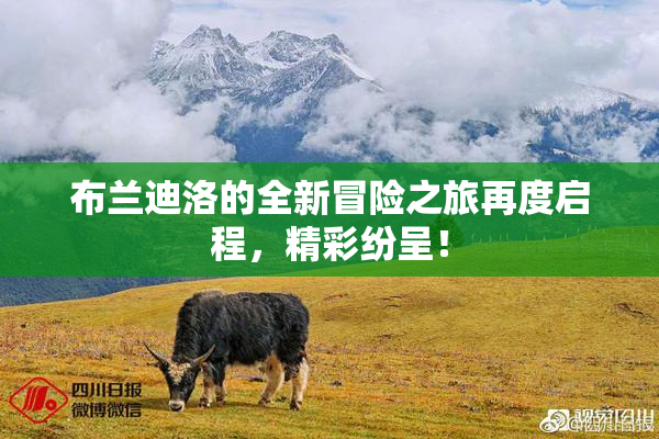 布兰迪洛的全新冒险之旅再度启程，精彩纷呈！