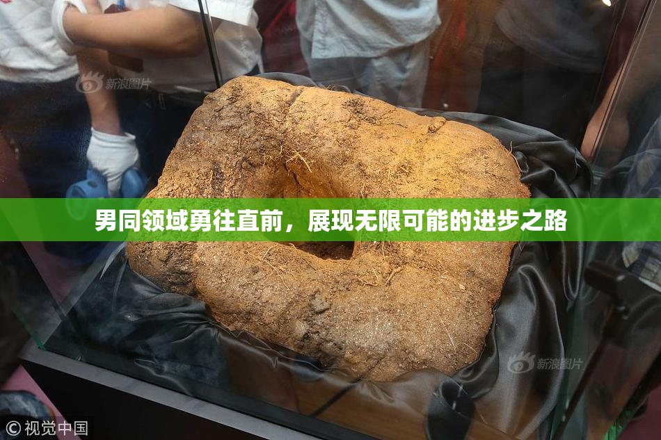 男同领域勇往直前，展现无限可能的进步之路
