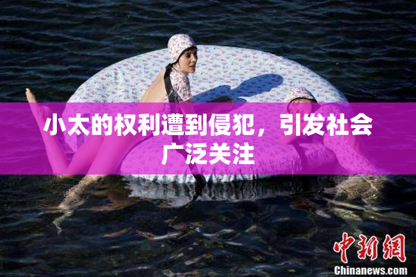 小太的权利遭到侵犯，引发社会广泛关注