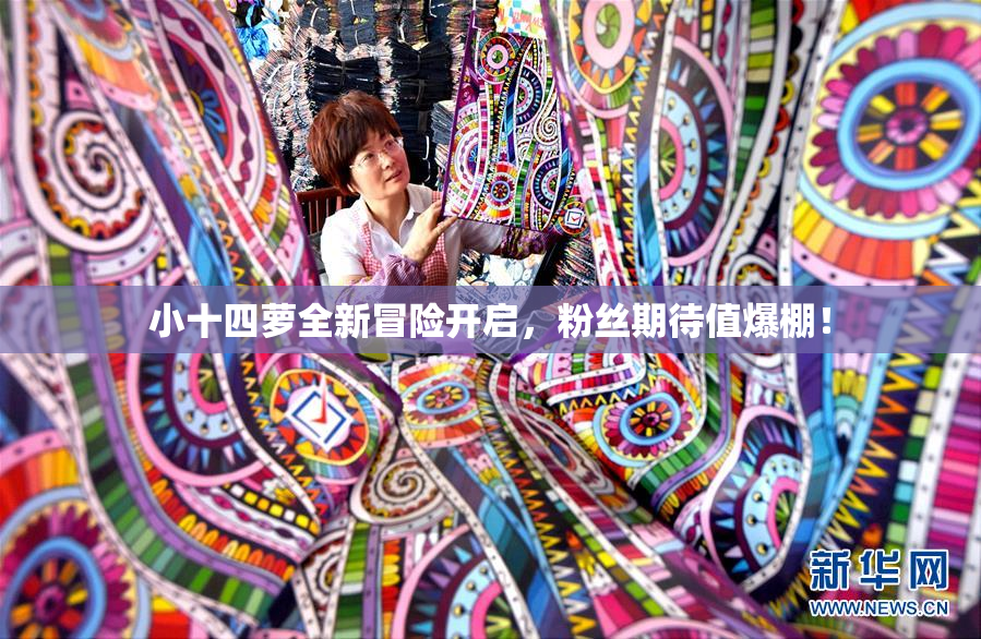 小十四萝全新冒险开启，粉丝期待值爆棚！