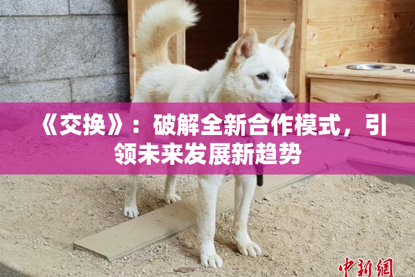 《交换》：破解全新合作模式，引领未来发展新趋势