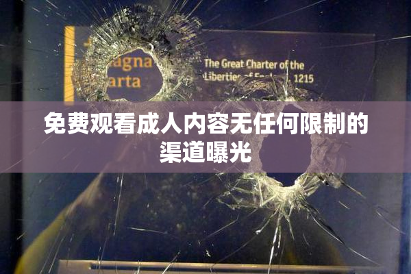 免费观看成人内容无任何限制的渠道曝光