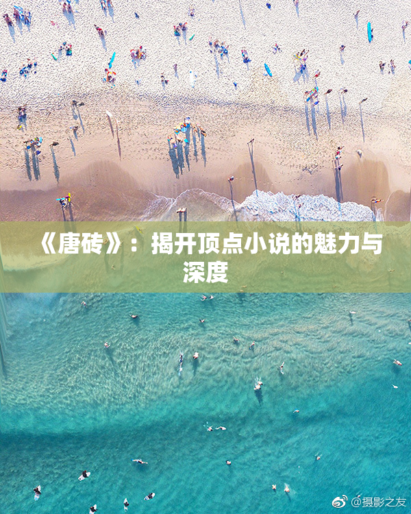 《唐砖》：揭开顶点小说的魅力与深度