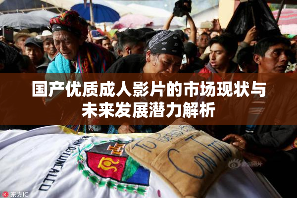 国产优质成人影片的市场现状与未来发展潜力解析