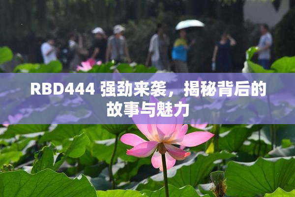 RBD444 强劲来袭，揭秘背后的故事与魅力