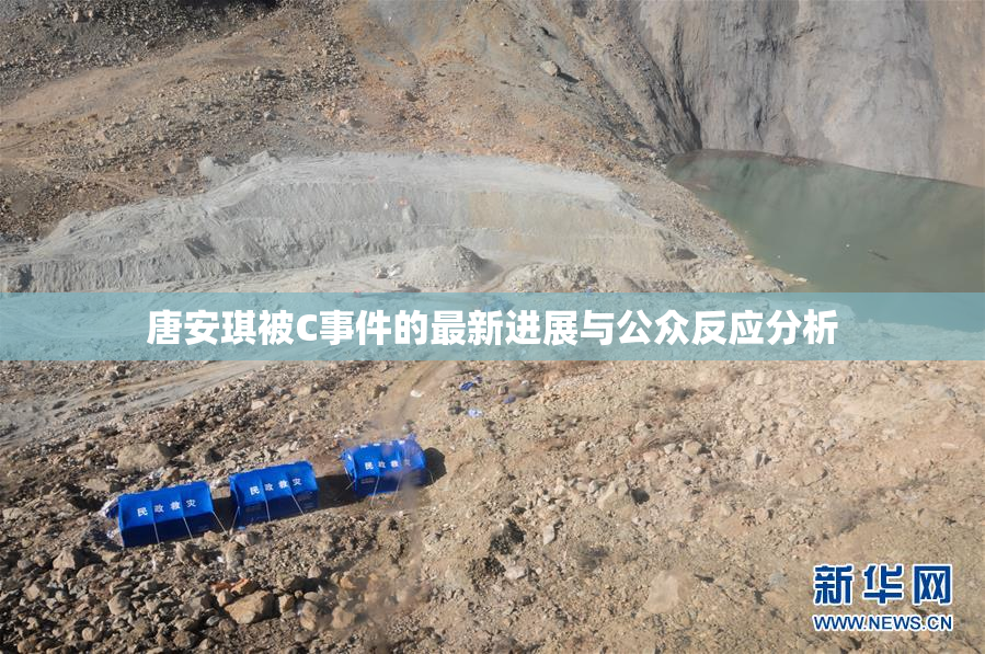唐安琪被C事件的最新进展与公众反应分析