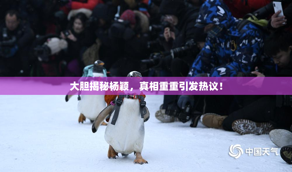 大胆揭秘杨颖，真相重重引发热议！