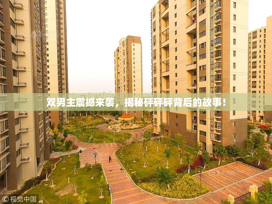 双男主震撼来袭，揭秘砰砰砰背后的故事！