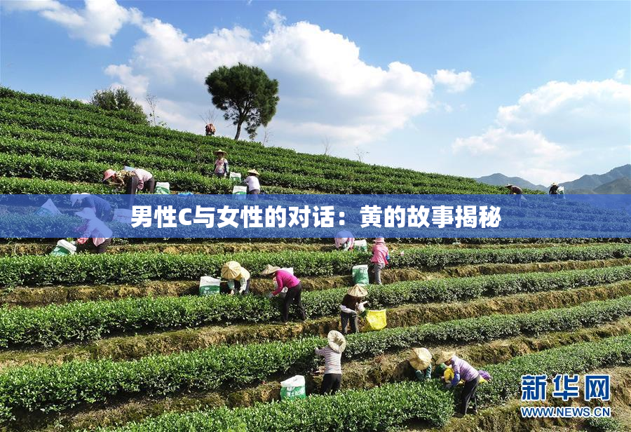 男性C与女性的对话：黄的故事揭秘