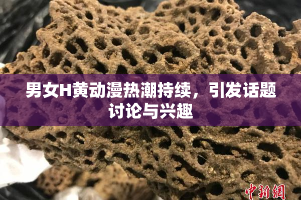 男女H黄动漫热潮持续，引发话题讨论与兴趣