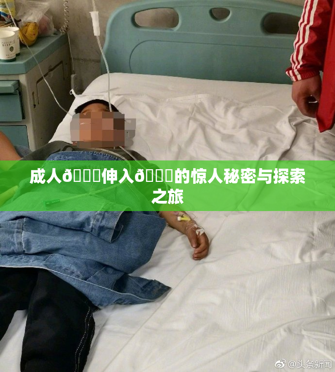 成人🍆伸入🍑的惊人秘密与探索之旅