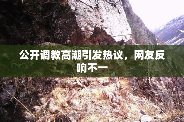 公开调教高潮引发热议，网友反响不一
