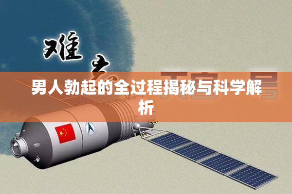 男人勃起的全过程揭秘与科学解析