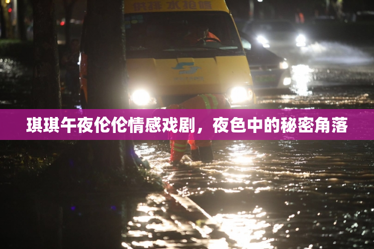琪琪午夜伦伦情感戏剧，夜色中的秘密角落