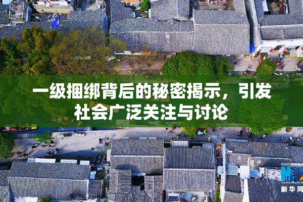 一级捆绑背后的秘密揭示，引发社会广泛关注与讨论