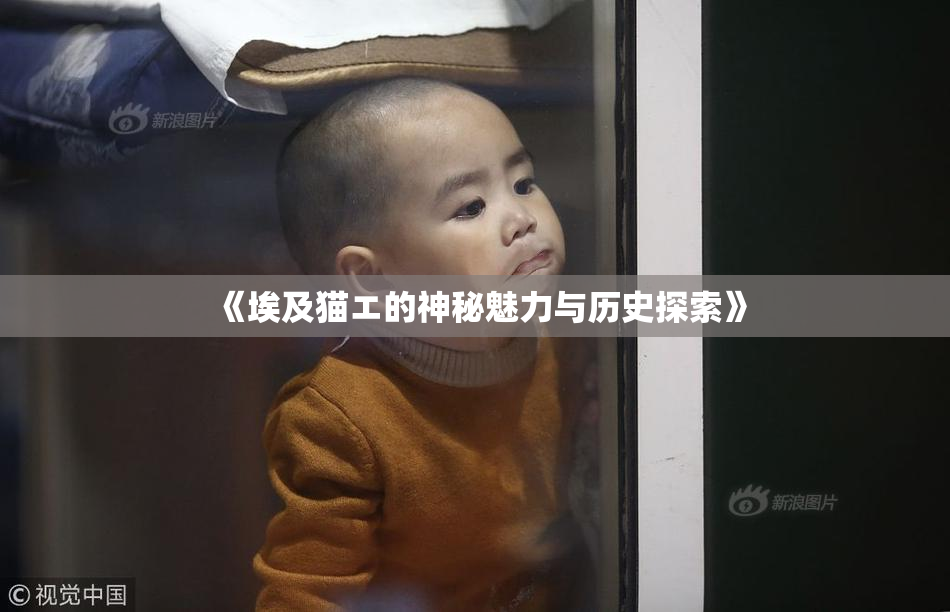 《埃及猫エ的神秘魅力与历史探索》