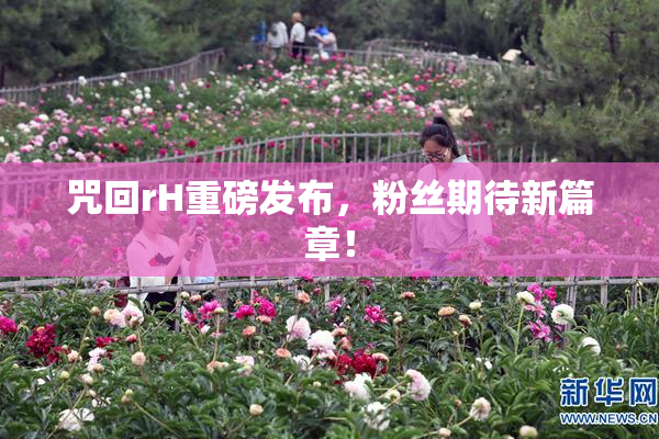 咒回rH重磅发布，粉丝期待新篇章！