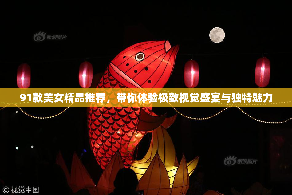 91款美女精品推荐，带你体验极致视觉盛宴与独特魅力