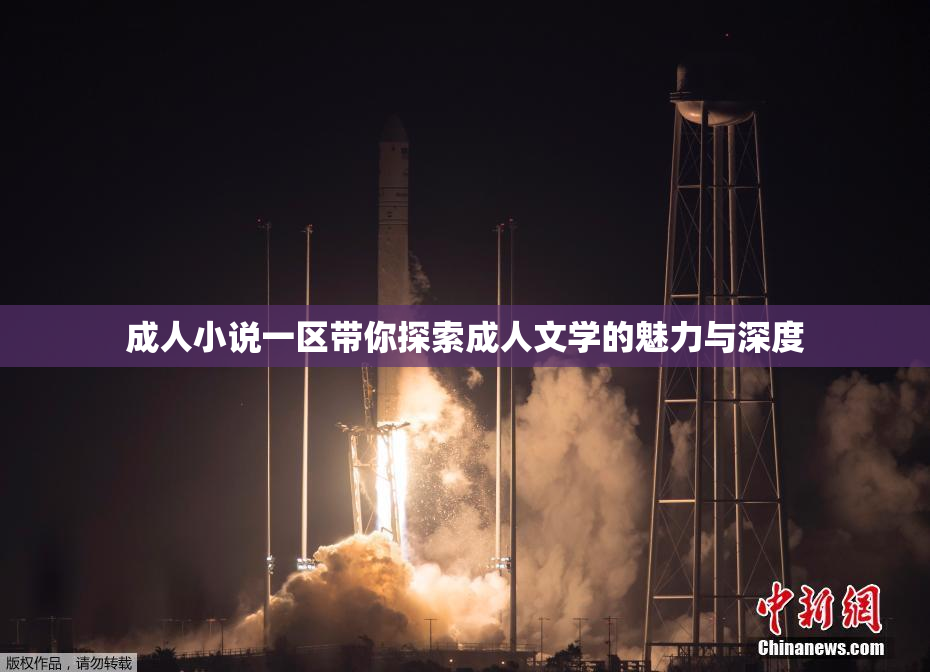 成人小说一区带你探索成人文学的魅力与深度