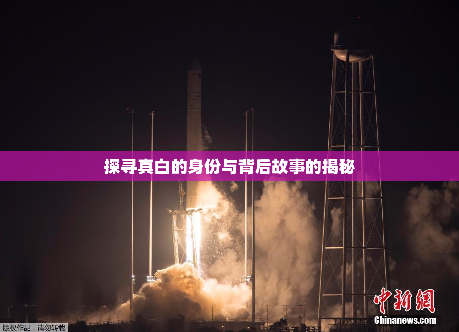 探寻真白的身份与背后故事的揭秘