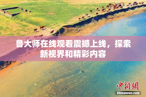 鲁大师在线观看震撼上线，探索新视界和精彩内容