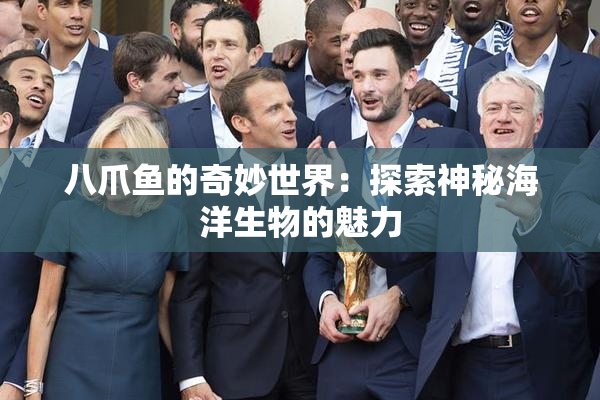 八爪鱼的奇妙世界：探索神秘海洋生物的魅力