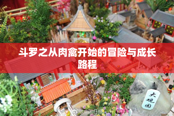 斗罗之从肉禽开始的冒险与成长路程
