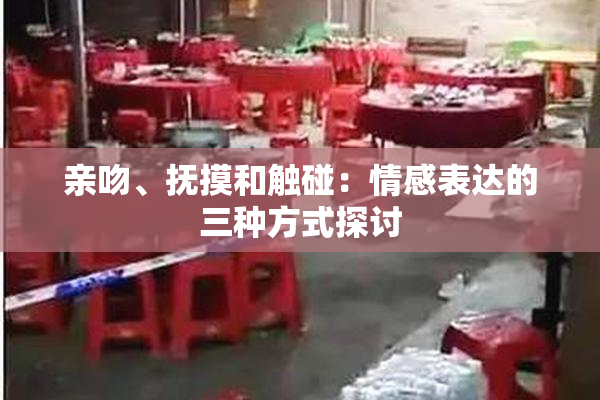 亲吻、抚摸和触碰：情感表达的三种方式探讨