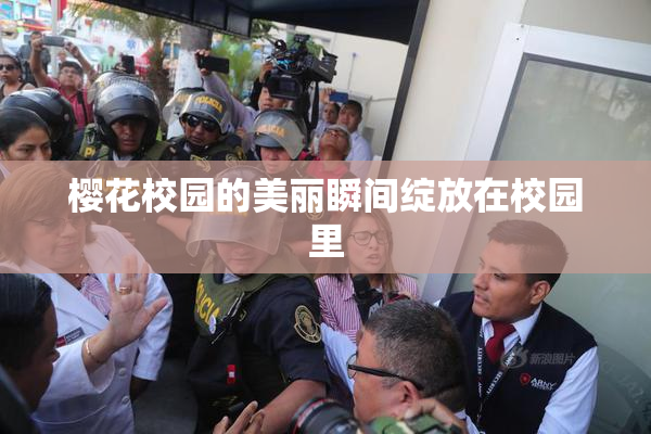 樱花校园的美丽瞬间绽放在校园里