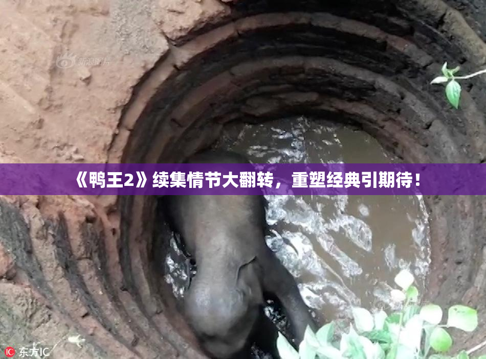 《鸭王2》续集情节大翻转，重塑经典引期待！