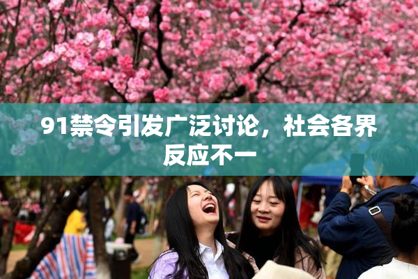 91禁令引发广泛讨论，社会各界反应不一