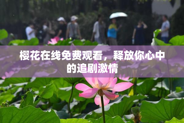 樱花在线免费观看，释放你心中的追剧激情
