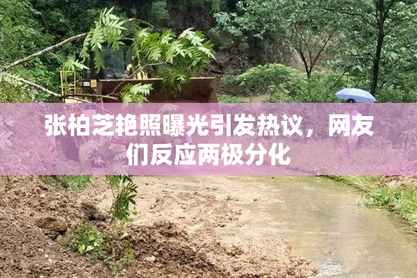 张柏芝艳照曝光引发热议，网友们反应两极分化