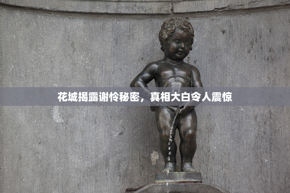 花城揭露谢怜秘密，真相大白令人震惊