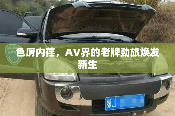 色厉内荏，AV界的老牌劲旅焕发新生