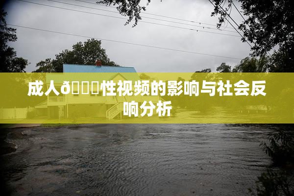 成人🔞性视频的影响与社会反响分析
