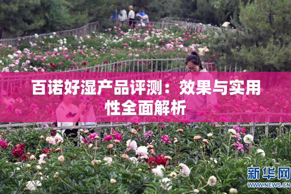 百诺好湿产品评测：效果与实用性全面解析