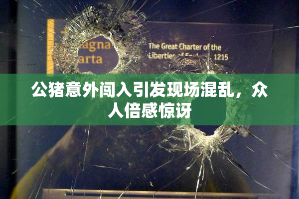 公猪意外闯入引发现场混乱，众人倍感惊讶