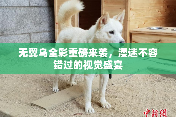 无翼乌全彩重磅来袭，漫迷不容错过的视觉盛宴