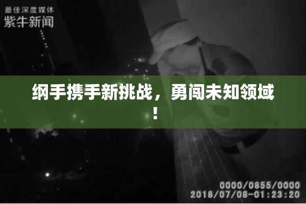纲手携手新挑战，勇闯未知领域！